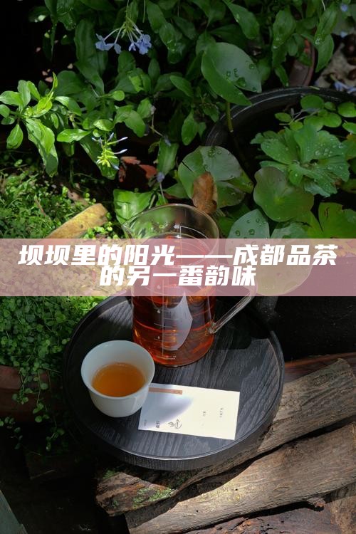 带着家乡茶，旅居成都，一盏乡愁泡开慢时光