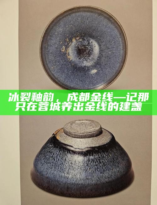 冰裂釉韵，成都金线—记那只在蓉城养出金线的建盏