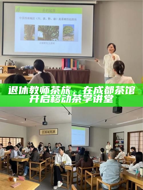 退休教师茶旅，在成都茶馆开启移动茶学讲堂